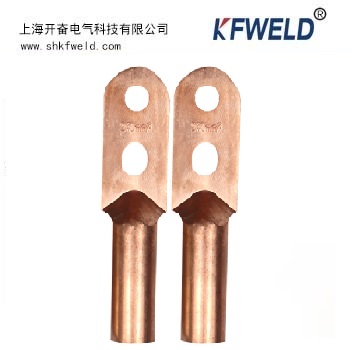 DT 2 Holes Copper Cable Lug
